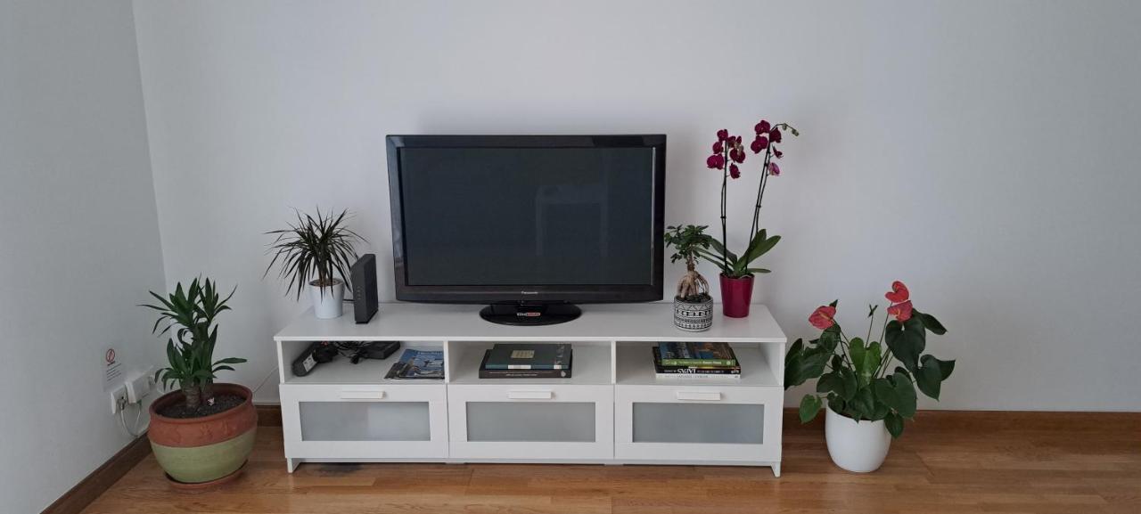 Appartement Lumineux T3 Avec Jardin Privatif A Hendaye - Parking Et Wif Gratuit Exterior photo